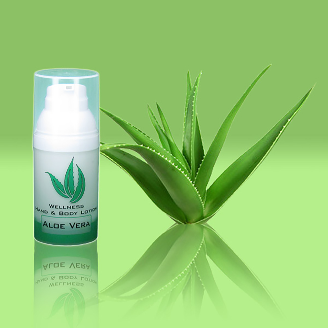Wellness Hand & Body Lotion